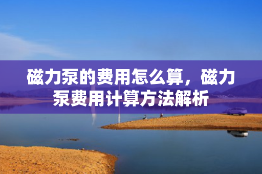 磁力泵的费用怎么算，磁力泵费用计算方法解析