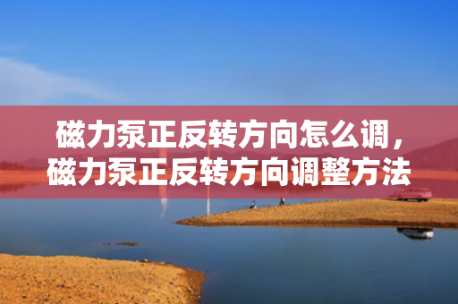 磁力泵正反转方向怎么调，磁力泵正反转方向调整方法