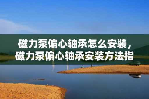 磁力泵偏心轴承怎么安装，磁力泵偏心轴承安装方法指南