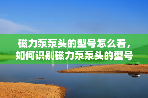 磁力泵泵头的型号怎么看，如何识别磁力泵泵头的型号