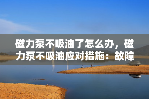 磁力泵不吸油了怎么办，磁力泵不吸油应对措施：故障排查与解决方案