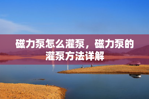 磁力泵怎么灌泵，磁力泵的灌泵方法详解