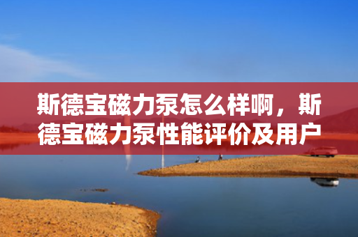 斯德宝磁力泵怎么样啊，斯德宝磁力泵性能评价及用户反馈概览