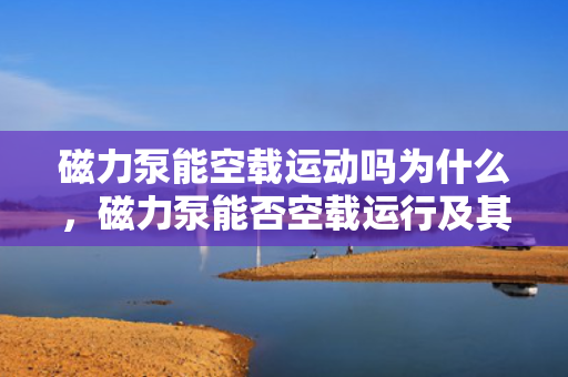 磁力泵能空载运动吗为什么，磁力泵能否空载运行及其原因解析
