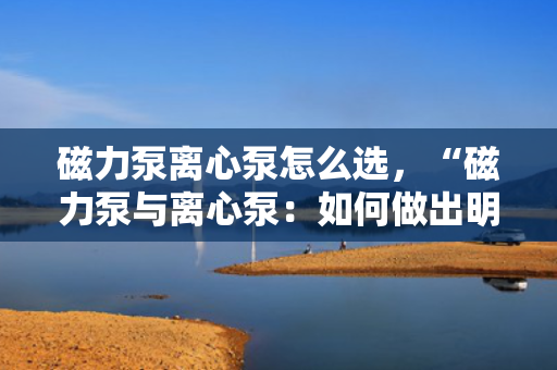 磁力泵离心泵怎么选，“磁力泵与离心泵：如何做出明智选择？”