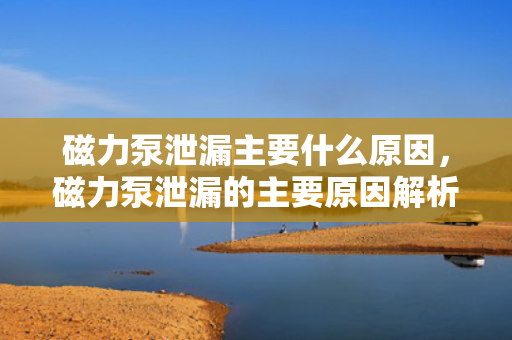 磁力泵泄漏主要什么原因，磁力泵泄漏的主要原因解析
