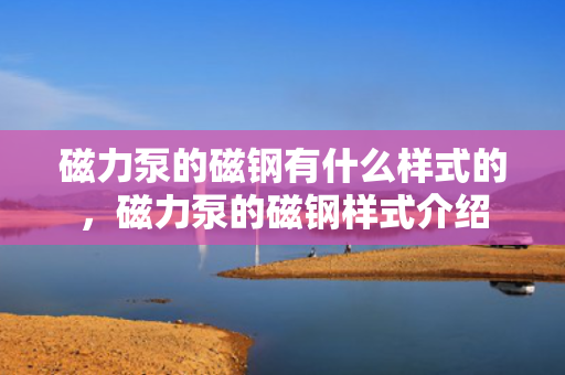磁力泵的磁钢有什么样式的，磁力泵的磁钢样式介绍