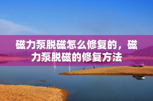 磁力泵脱磁怎么修复的，磁力泵脱磁的修复方法