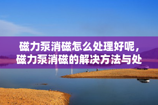 磁力泵消磁怎么处理好呢，磁力泵消磁的解决方法与处理建议