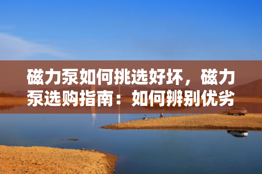 磁力泵如何挑选好坏，磁力泵选购指南：如何辨别优劣，选出最适合您的磁力泵
