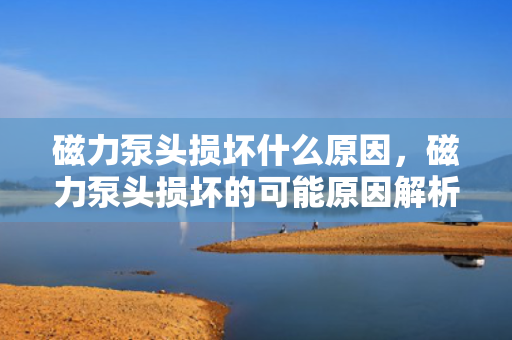 磁力泵头损坏什么原因，磁力泵头损坏的可能原因解析