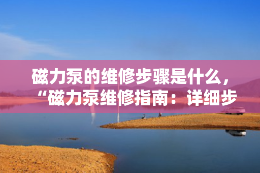 磁力泵的维修步骤是什么，“磁力泵维修指南：详细步骤一览”