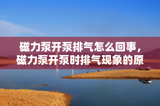 磁力泵开泵排气怎么回事，磁力泵开泵时排气现象的原因及解决方法
