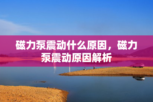 磁力泵震动什么原因，磁力泵震动原因解析