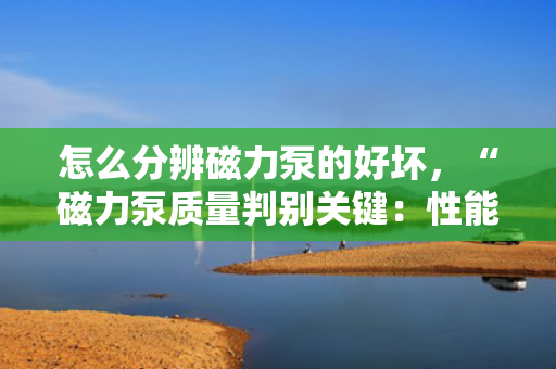 怎么分辨磁力泵的好坏，“磁力泵质量判别关键：性能、材质与运行稳定性的综合考量”