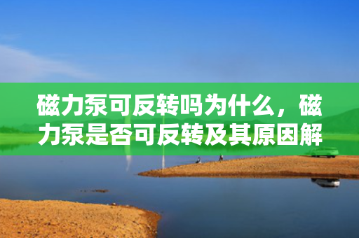 磁力泵可反转吗为什么，磁力泵是否可反转及其原因解析