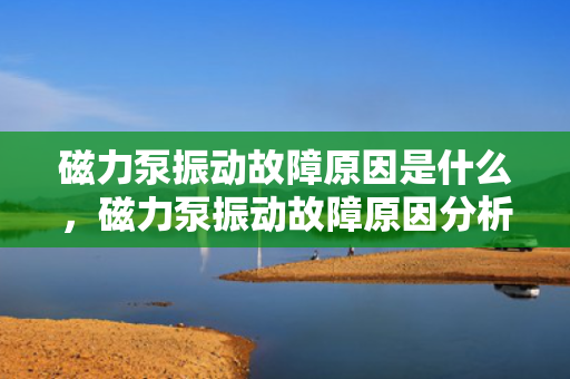 磁力泵振动故障原因是什么，磁力泵振动故障原因分析