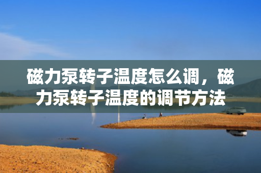磁力泵转子温度怎么调，磁力泵转子温度的调节方法