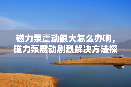 磁力泵震动很大怎么办啊，磁力泵震动剧烈解决方法探讨