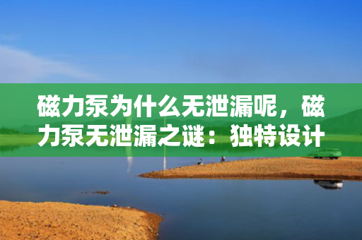磁力泵为什么无泄漏呢，磁力泵无泄漏之谜：独特设计保障高效安全运行