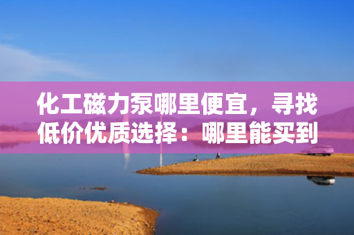 化工磁力泵哪里便宜，寻找低价优质选择：哪里能买到性价比高的化工磁力泵