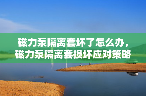 磁力泵隔离套坏了怎么办，磁力泵隔离套损坏应对策略