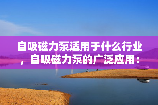 自吸磁力泵适用于什么行业，自吸磁力泵的广泛应用：适用于多个行业的理想选择