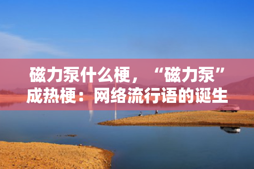 磁力泵什么梗，“磁力泵”成热梗：网络流行语的诞生与解读