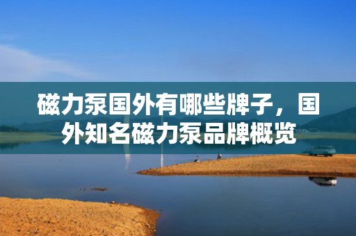 磁力泵国外有哪些牌子，国外知名磁力泵品牌概览