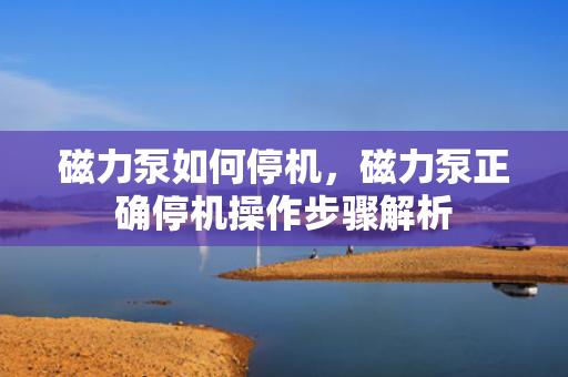 磁力泵如何?；帕Ρ谜吠；僮鞑街杞馕? title=