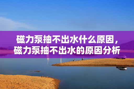 磁力泵抽不出水什么原因，磁力泵抽不出水的原因分析
