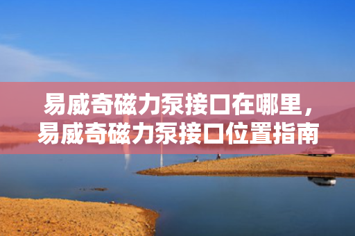 易威奇磁力泵接口在哪里，易威奇磁力泵接口位置指南