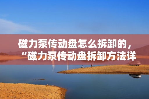 磁力泵传动盘怎么拆卸的，“磁力泵传动盘拆卸方法详解”