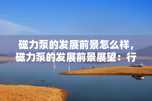 磁力泵的发展前景怎么样，磁力泵的发展前景展望：行业趋势与市场潜力分析