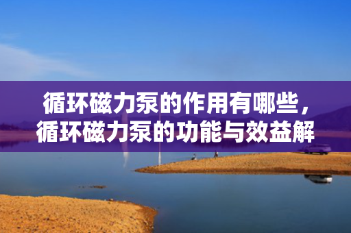 循环磁力泵的作用有哪些，循环磁力泵的功能与效益解析