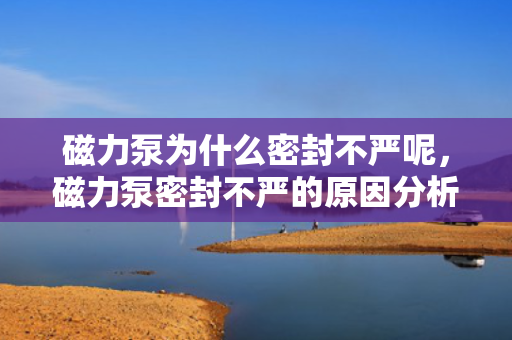 磁力泵为什么密封不严呢，磁力泵密封不严的原因分析