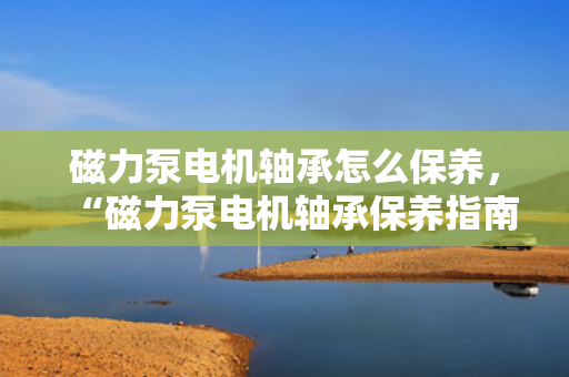 磁力泵电机轴承怎么保养，“磁力泵电机轴承保养指南：关键步骤与实用技巧”