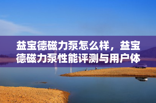 益宝德磁力泵怎么样，益宝德磁力泵性能评测与用户体验