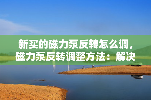 新买的磁力泵反转怎么调，磁力泵反转调整方法：解决新买的磁力泵运行异常的关键步骤