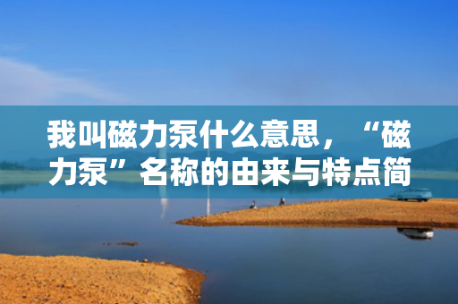 我叫磁力泵什么意思，“磁力泵”名称的由来与特点简析
