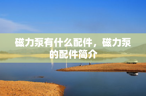 磁力泵有什么配件，磁力泵的配件简介