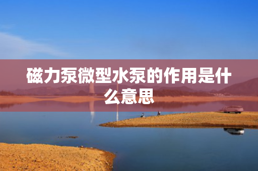 磁力泵微型水泵的作用是什么意思