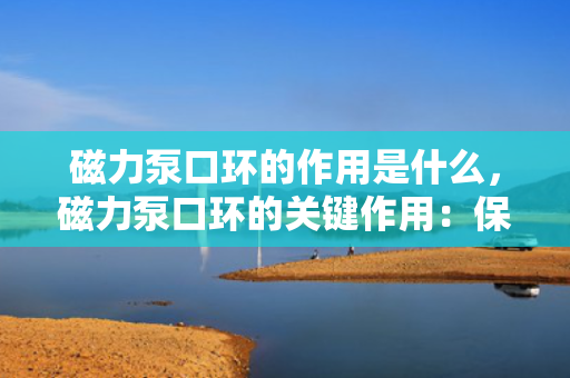 磁力泵口环的作用是什么，磁力泵口环的关键作用：保障密封性与运行效率