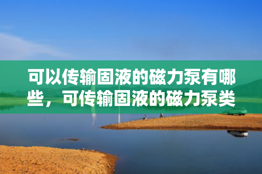 可以传输固液的磁力泵有哪些，可传输固液的磁力泵类型概览