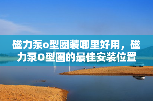 磁力泵o型圈装哪里好用，磁力泵O型圈的最佳安装位置及应用优势解析