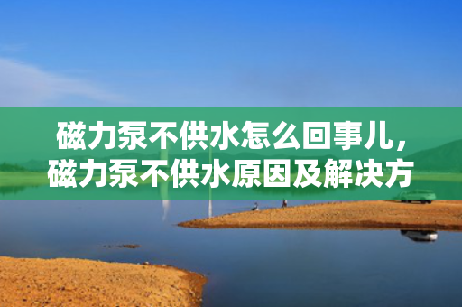 磁力泵不供水怎么回事儿，磁力泵不供水原因及解决方法