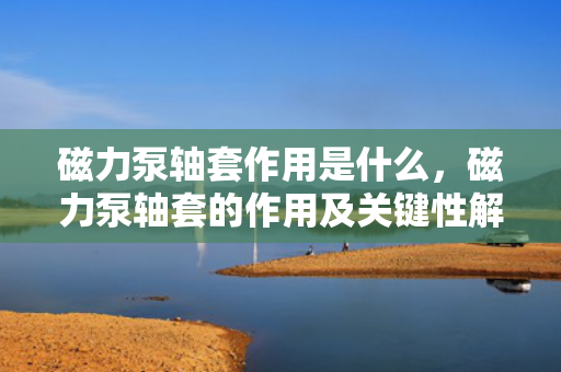 磁力泵轴套作用是什么，磁力泵轴套的作用及关键性解析