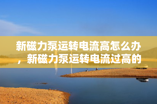 新磁力泵运转电流高怎么办，新磁力泵运转电流过高的解决方法