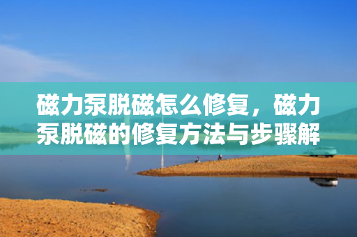磁力泵脱磁怎么修复，磁力泵脱磁的修复方法与步骤解析