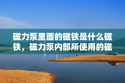 磁力泵里面的磁铁是什么磁铁，磁力泵内部所使用的磁铁类型揭秘